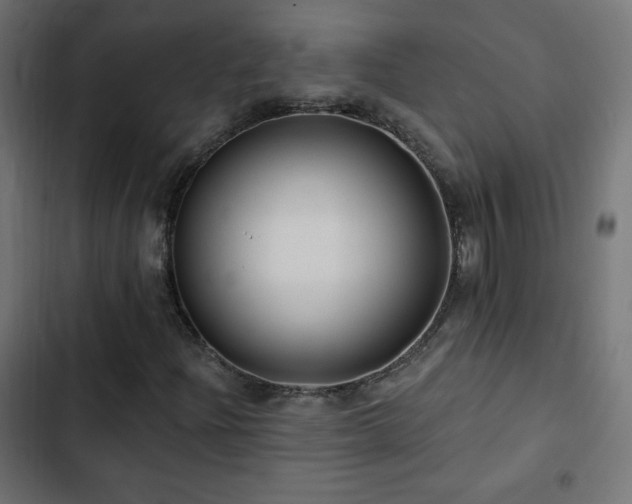 X0000103491204200809121706