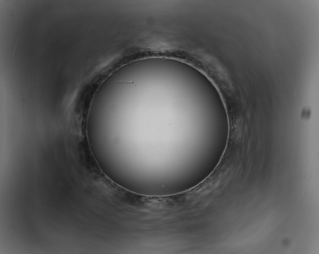 X0000103491205200809121706