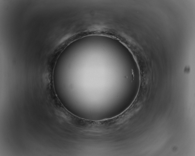 X0000103491206200809121706