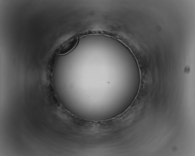 X0000103491207200809121706