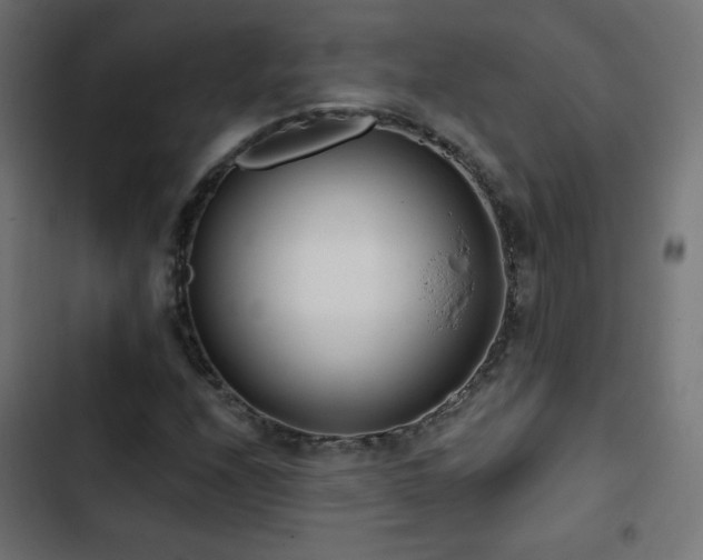 X0000103491208200809121706