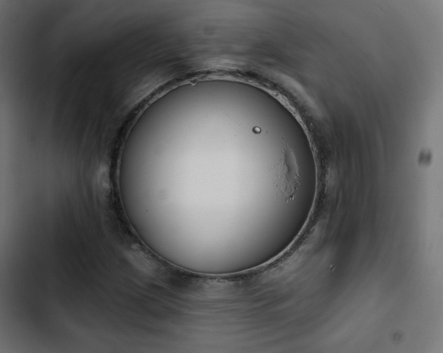 X0000103491209200809121706