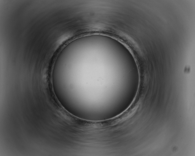 X0000103491210200809121706