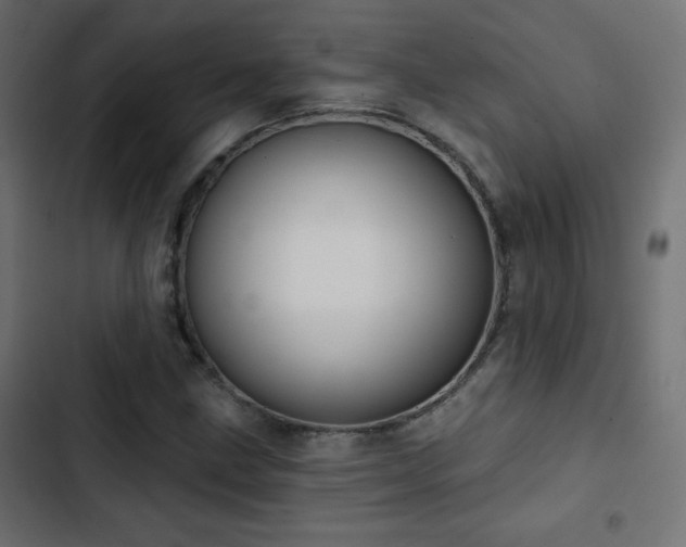 X0000103491211200809121706