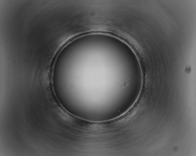 X0000103491212200809121706