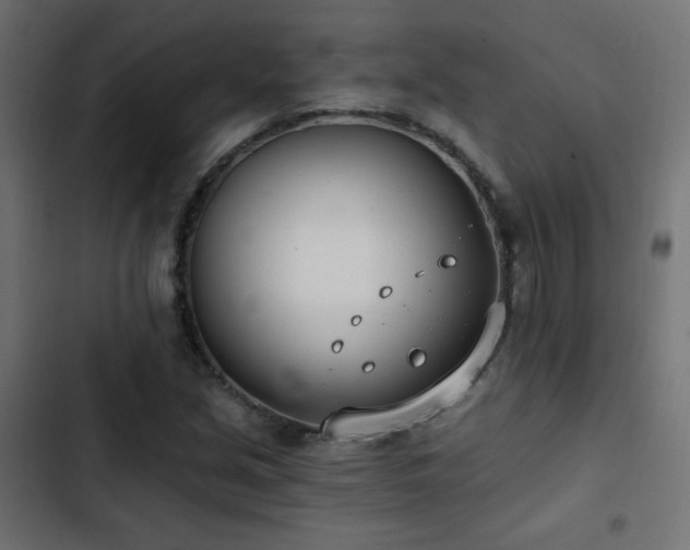 X0000103491213200809121706