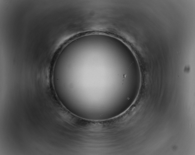 X0000103491214200809121706