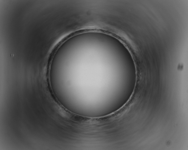 X0000103491216200809121706