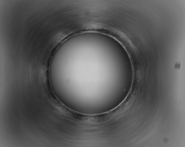 X0000103491217200809121706