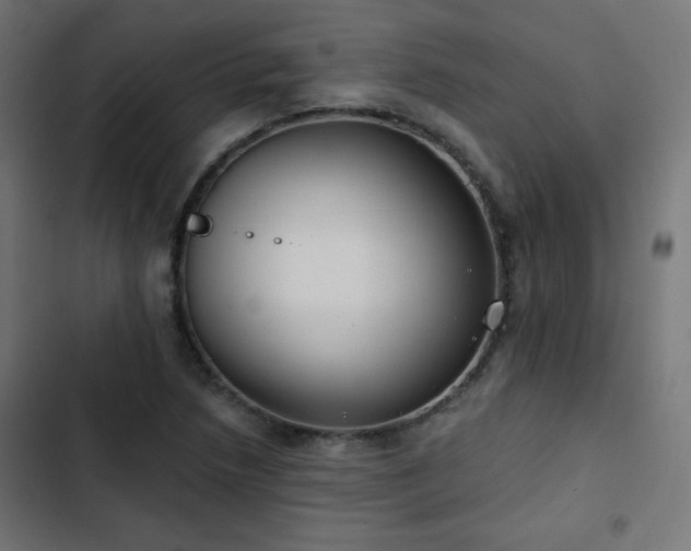 X0000103491218200809121706