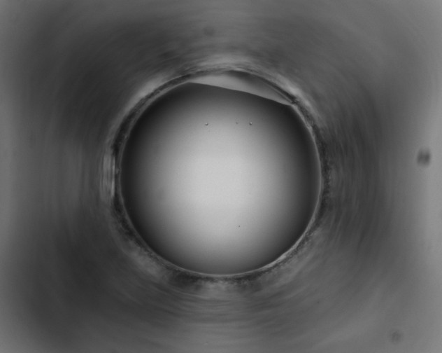 X0000103491219200809121706