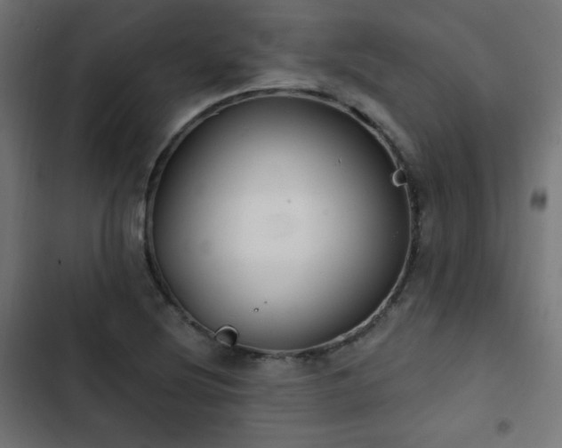 X0000103491220200809121706