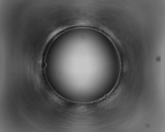 X0000103491222200809121707