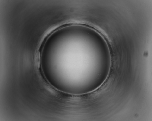 X0000103491223200809121707