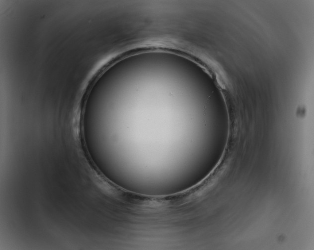 X0000103491224200809121707