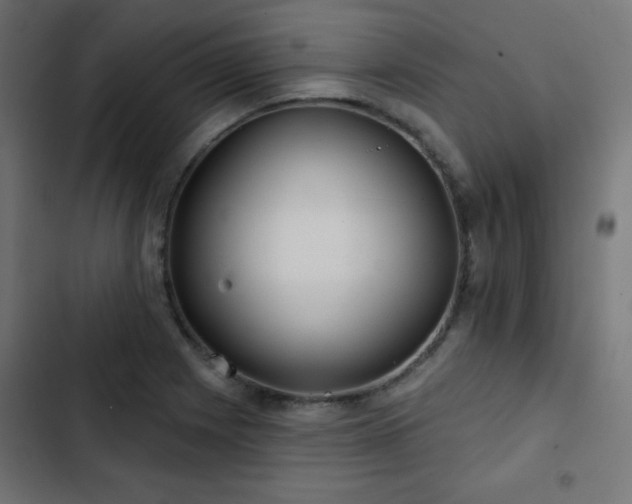 X0000103491225200809121707