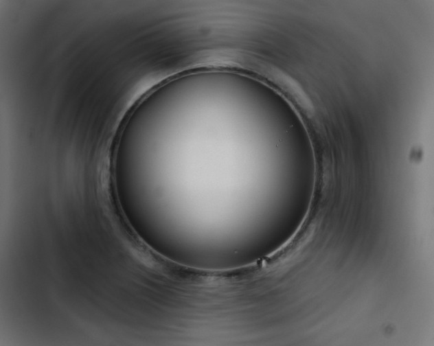 X0000103491226200809121707