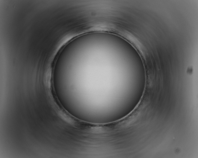 X0000103491227200809121707