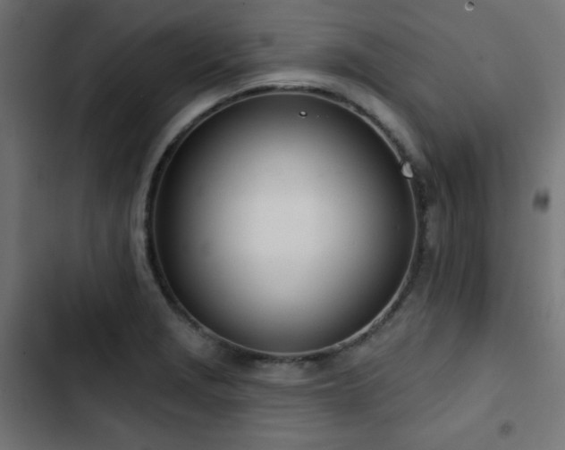 X0000103491229200809121707