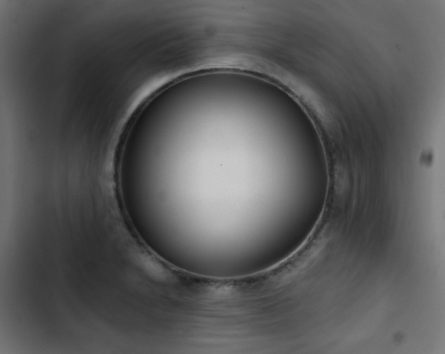 X0000103491230200809121707