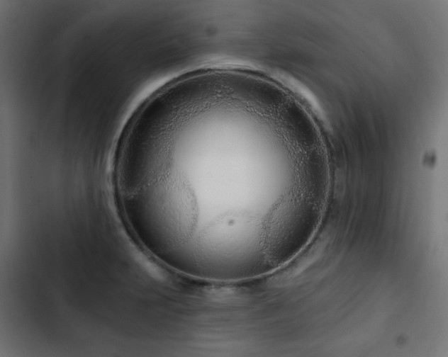 X0000103491231200809121707