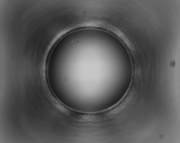 X0000103491232200809121707