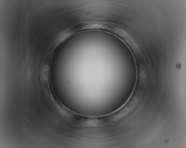 X0000103491233200809121707