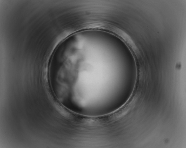 X0000103491234200809121707