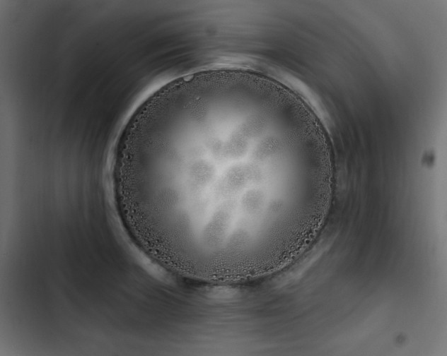 X0000103491235200809121707