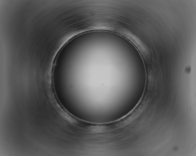 X0000103491236200809121707