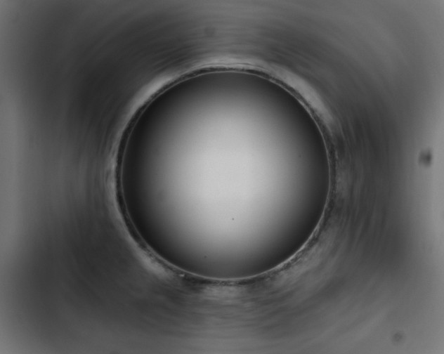 X0000103491237200809121707