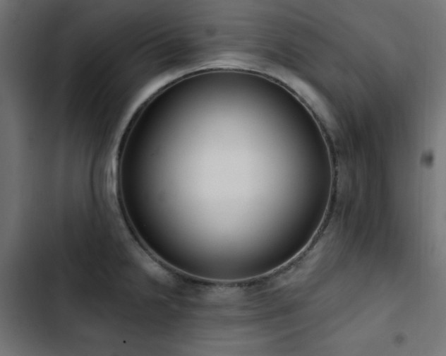 X0000103491238200809121707