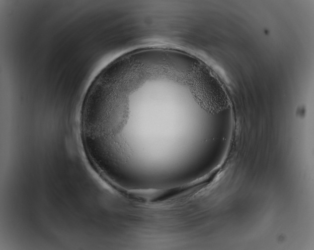 X0000103491239200809121707