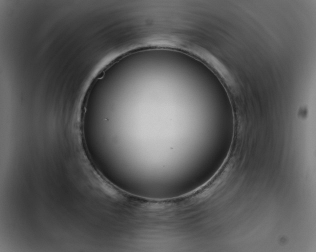 X0000103491240200809121707