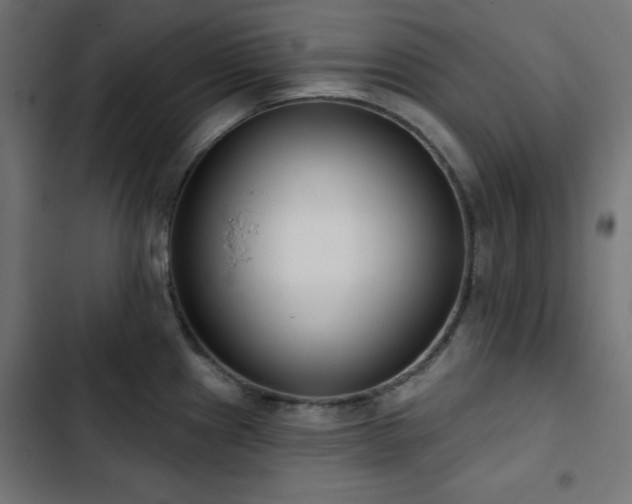 X0000103491241200809121707