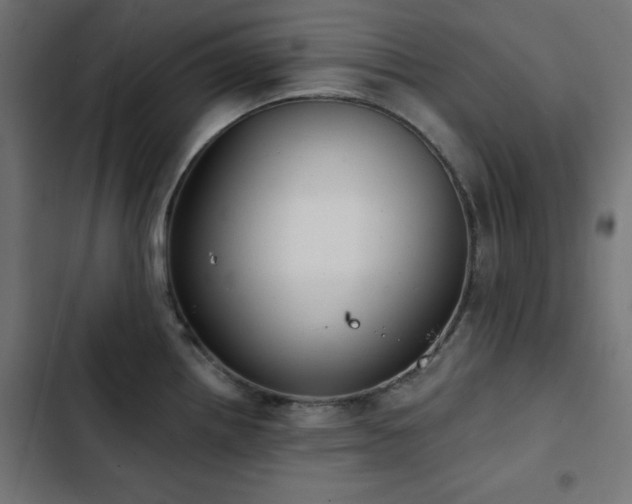 X0000103491242200809121707