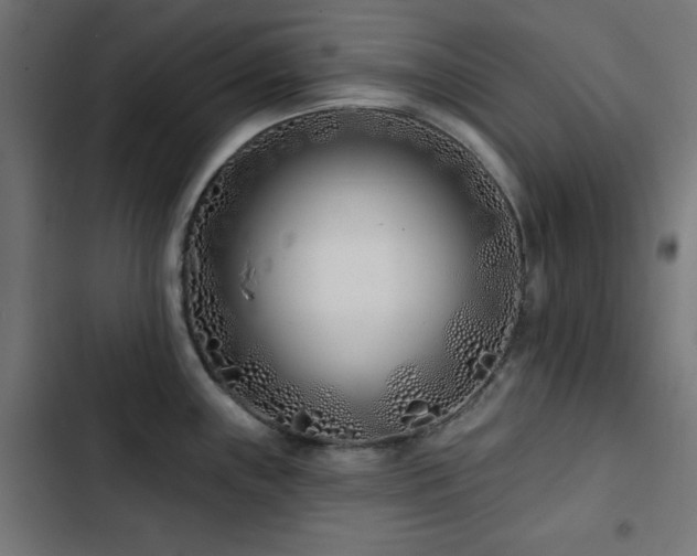 X0000103491243200809121707