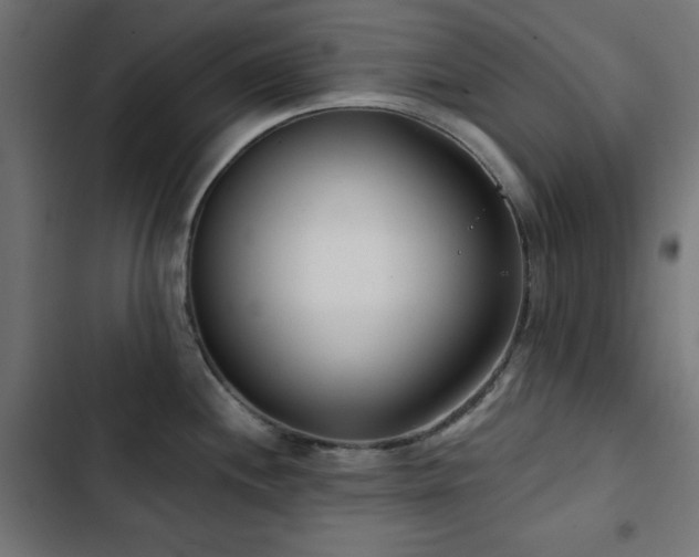 X0000103491244200809121707