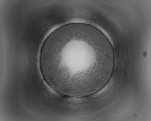 X0000103491245200809121707