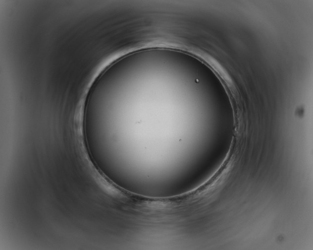 X0000103491246200809121707