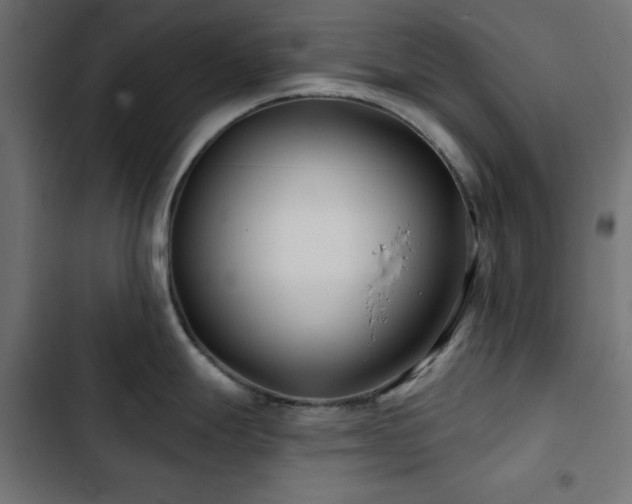 X0000103491247200809121707