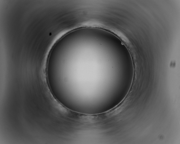 X0000103491248200809121707