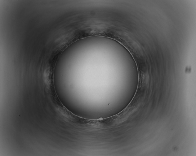 X0000103491250200809121706