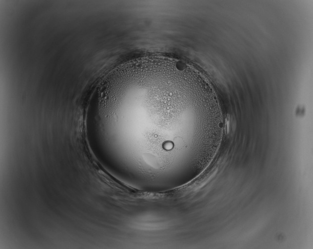 X0000103491251200809121706