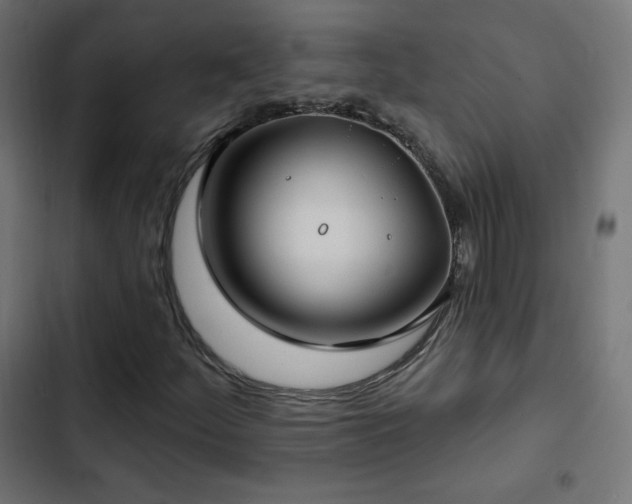 X0000103491252200809121706