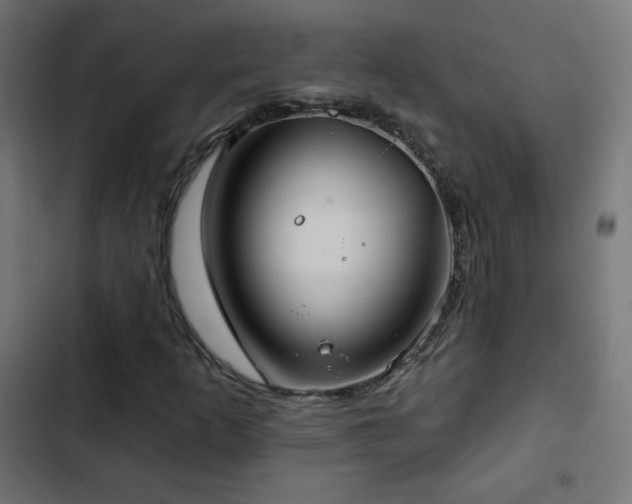 X0000103491253200809121706