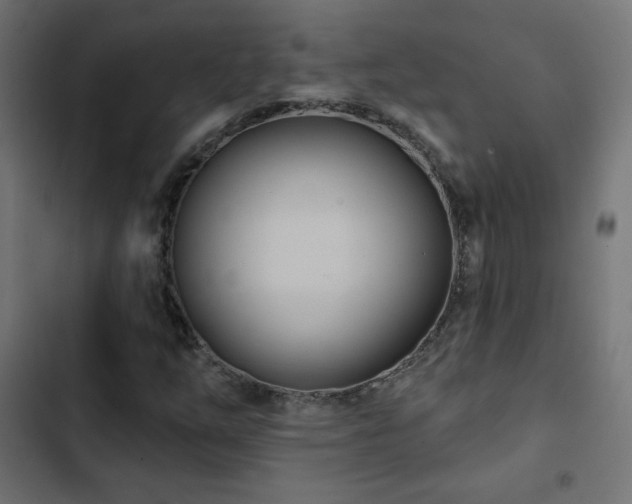 X0000103491254200809121706