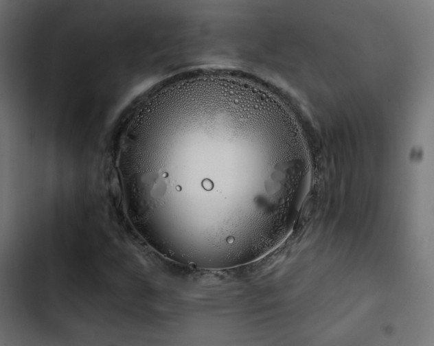 X0000103491255200809121706