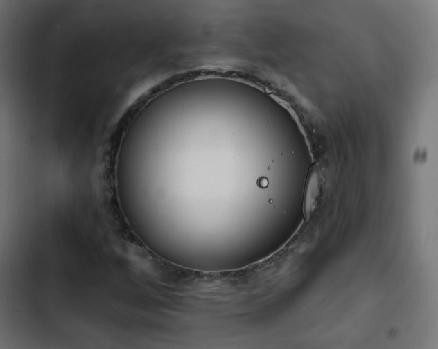 X0000103491256200809121706