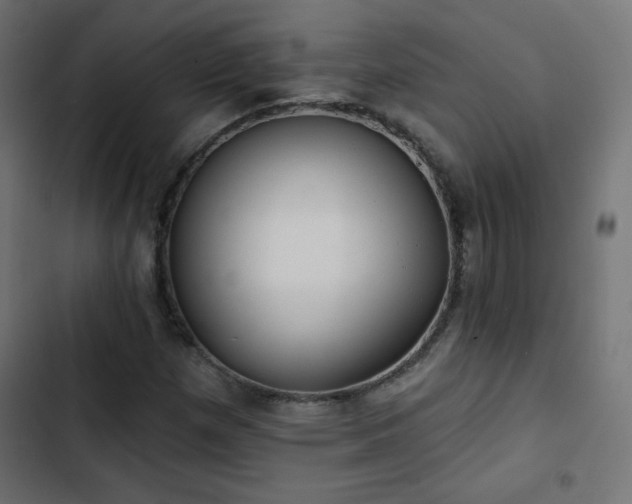 X0000103491257200809121706